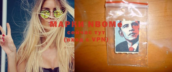 ГАЛЛЮЦИНОГЕННЫЕ ГРИБЫ Дмитриев