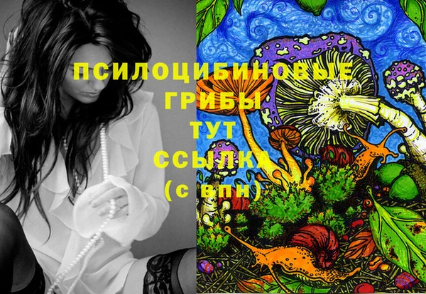крисы Дмитровск
