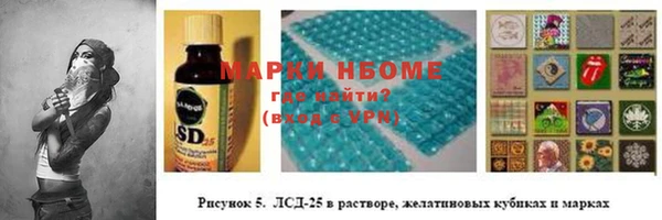 ГАЛЛЮЦИНОГЕННЫЕ ГРИБЫ Дмитриев