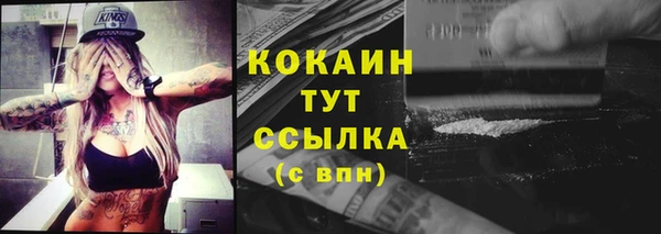 крисы Дмитровск