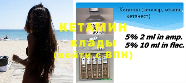 ГАЛЛЮЦИНОГЕННЫЕ ГРИБЫ Дмитриев