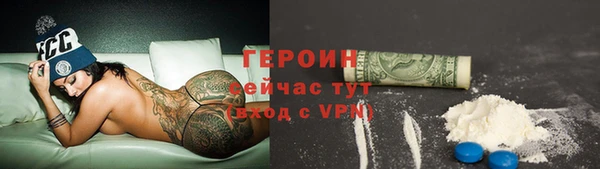дмт Дмитров
