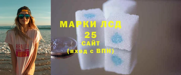 ГАЛЛЮЦИНОГЕННЫЕ ГРИБЫ Дмитриев