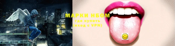 дмт Дмитров