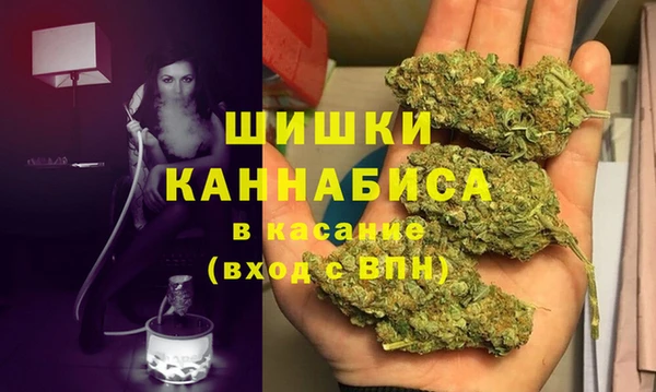 ГАЛЛЮЦИНОГЕННЫЕ ГРИБЫ Дмитриев