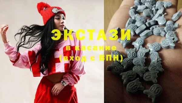 ГАЛЛЮЦИНОГЕННЫЕ ГРИБЫ Дмитриев