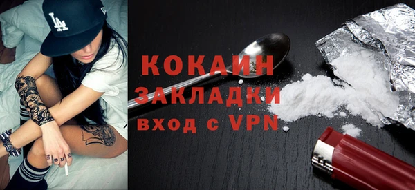 дмт Дмитров