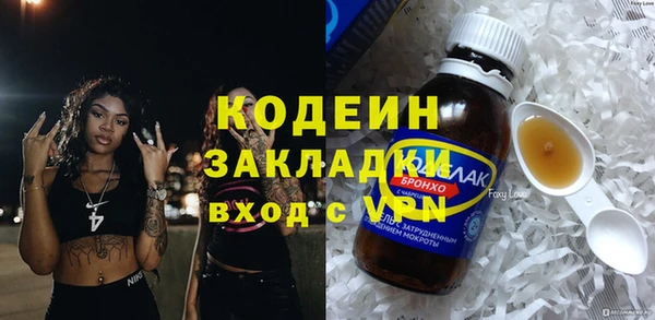 ГАЛЛЮЦИНОГЕННЫЕ ГРИБЫ Дмитриев