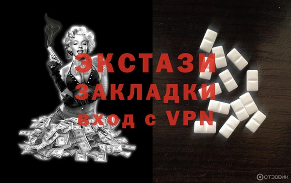 ГАЛЛЮЦИНОГЕННЫЕ ГРИБЫ Дмитриев