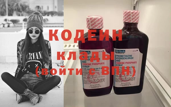 ГАЛЛЮЦИНОГЕННЫЕ ГРИБЫ Дмитриев