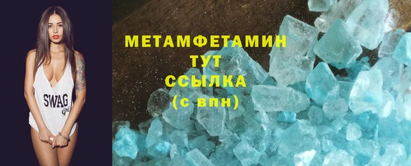 ГАЛЛЮЦИНОГЕННЫЕ ГРИБЫ Дмитриев