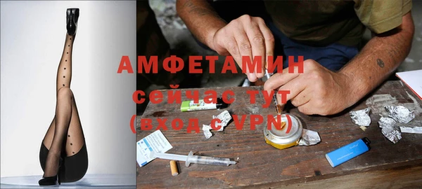 дмт Дмитров